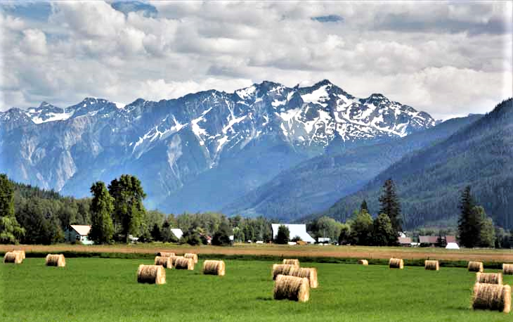 mountain and pasture